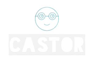 Castor Elecciones - Logo